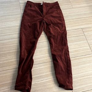 Burgundy velvet pants. Loft
